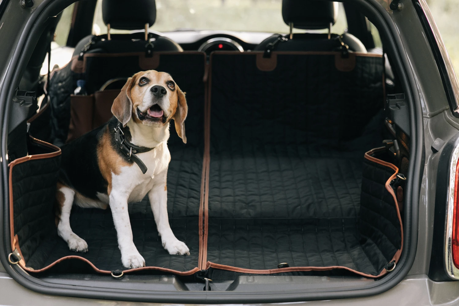 Yorkshire Terriers back seat cover for Chevrolet Equinox