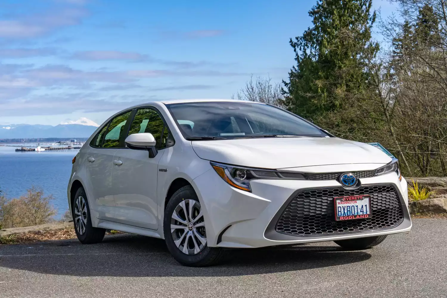 Toyota Corolla organizer for road trip