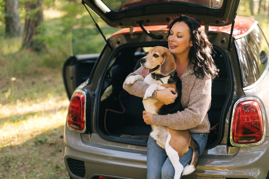 pet seat cover for Hyundai Santa Fe