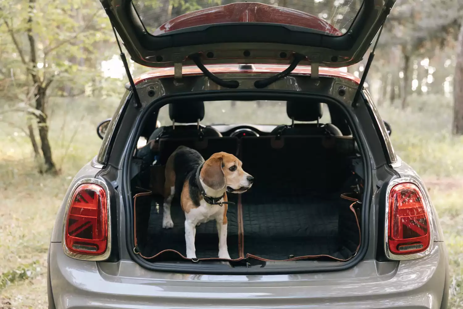 pet seat cover for Chrysler Pacifica