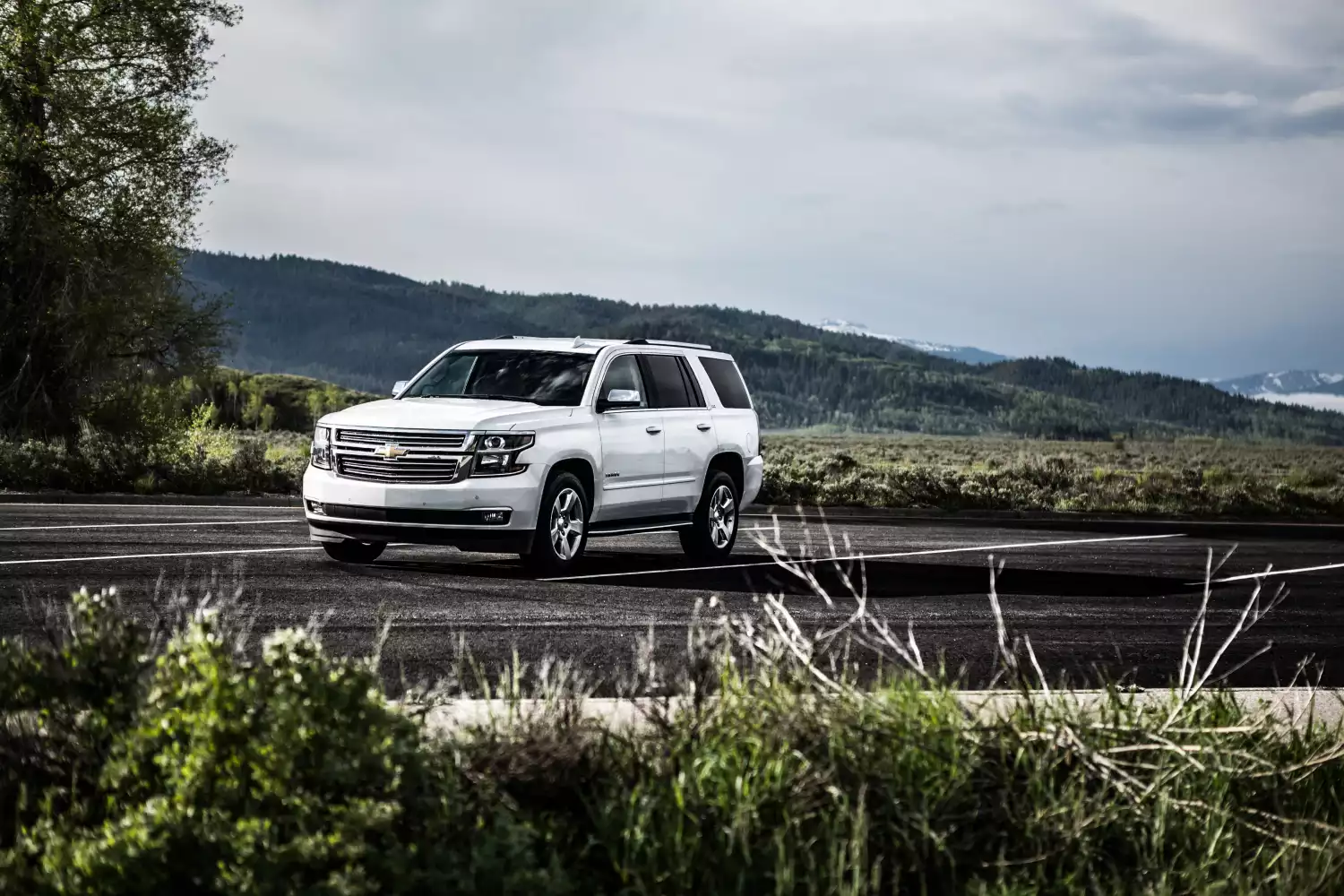 trash containers for Chevrolet Tahoe