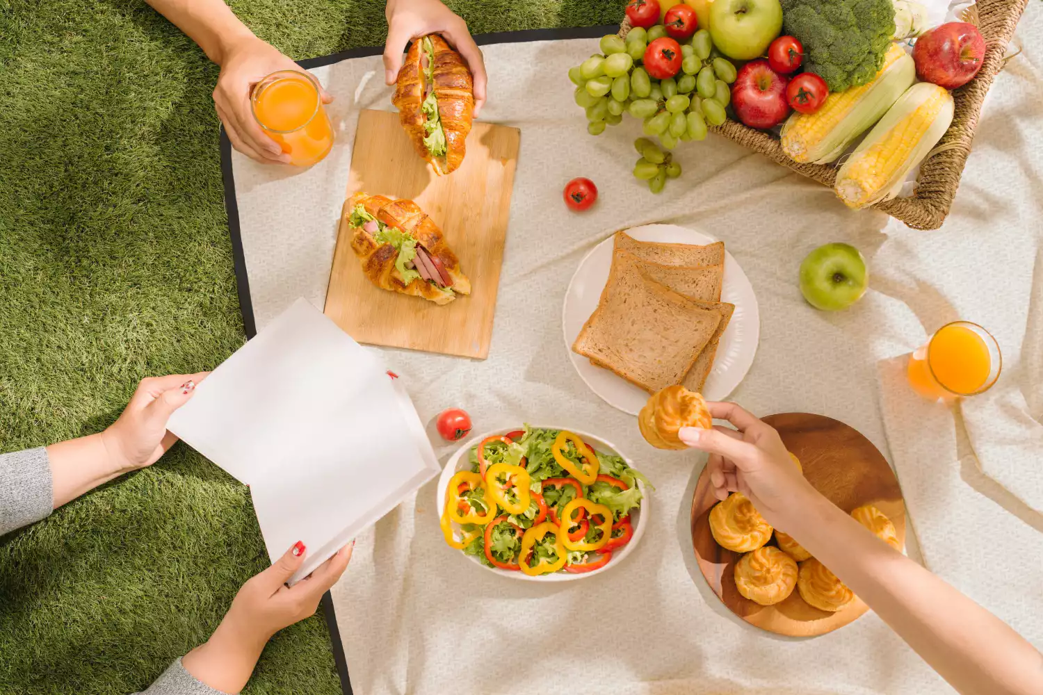 best family picnic blanket