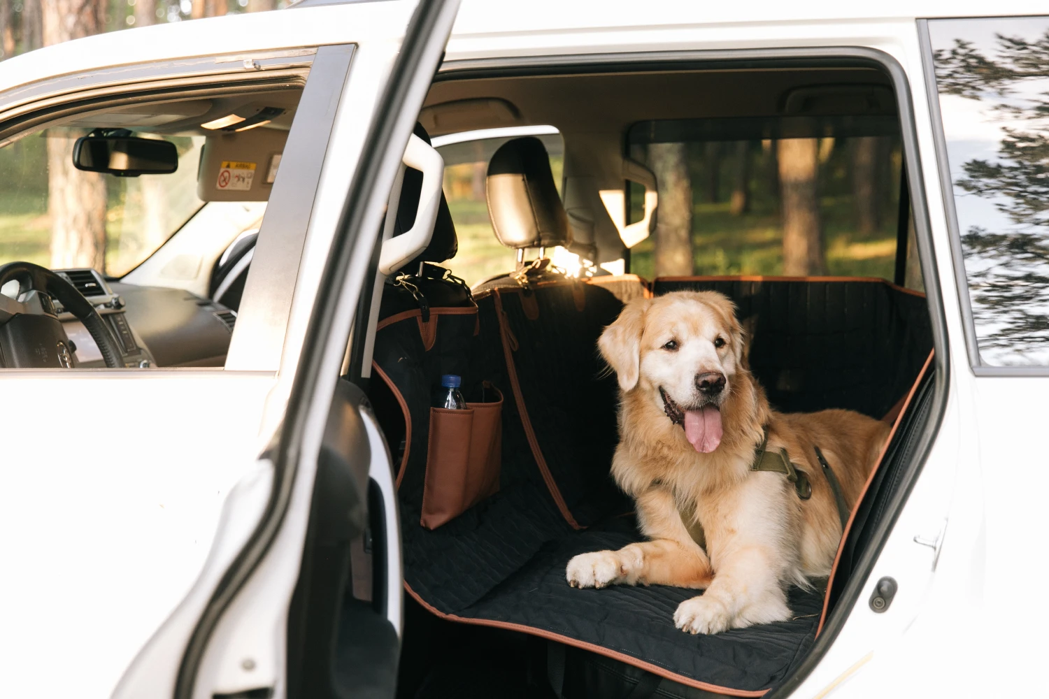 dog back seat cover for Mazda3