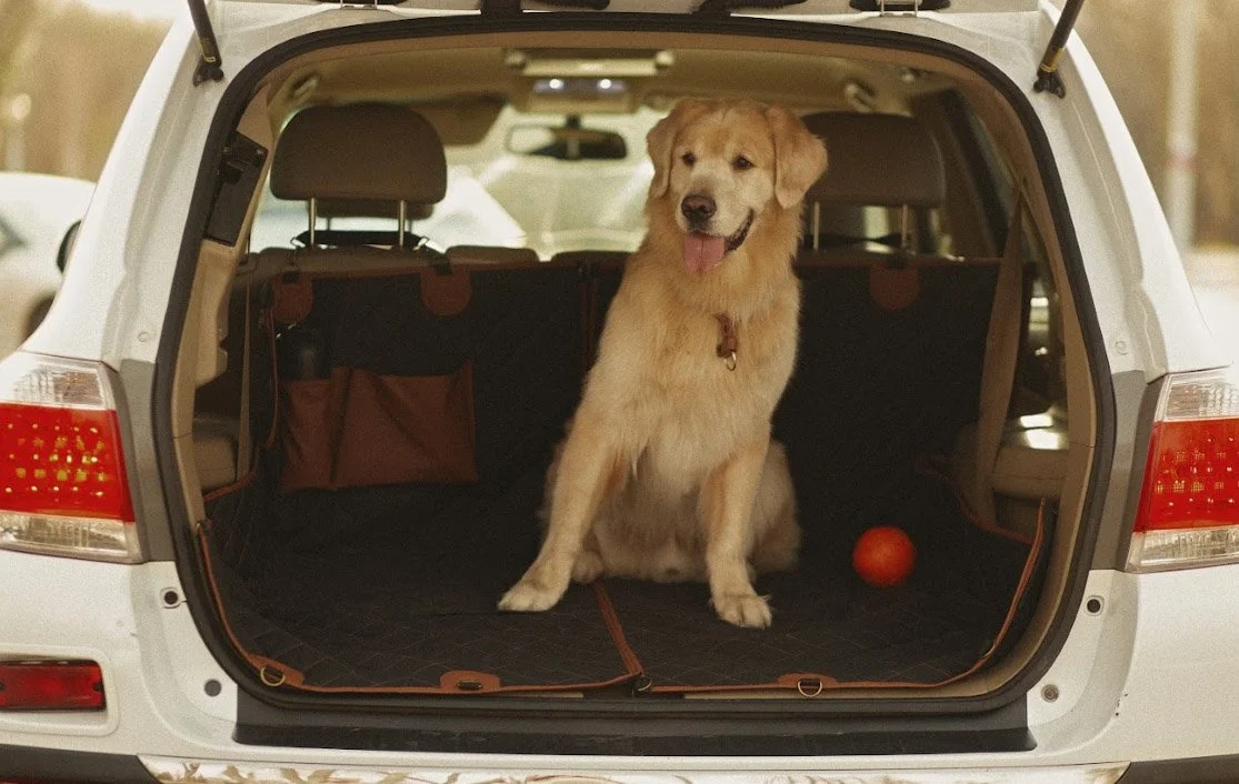 Bloodhounds back seat cover for Chevrolet Colorado