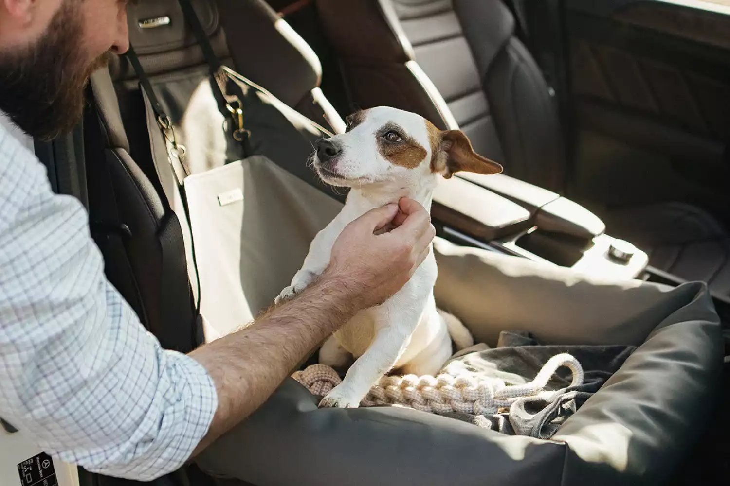 Ford Expedition Dog Car Seat for Shih Tzu