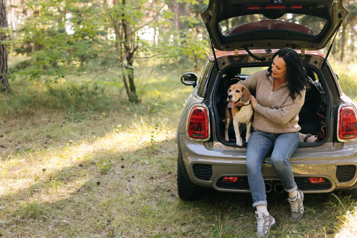 pet seat cover for Mercedes-Benz GLE