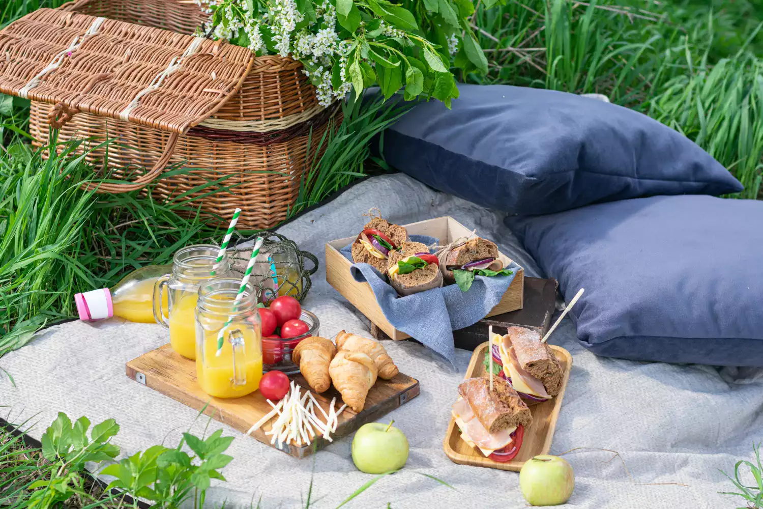 picnic blankets