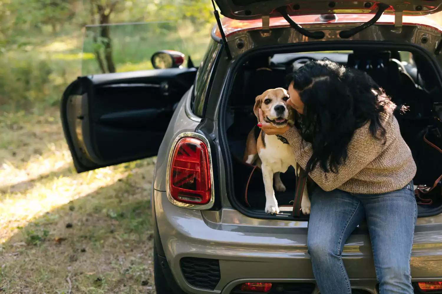 dog back seat cover for Volkswagen Tiguan