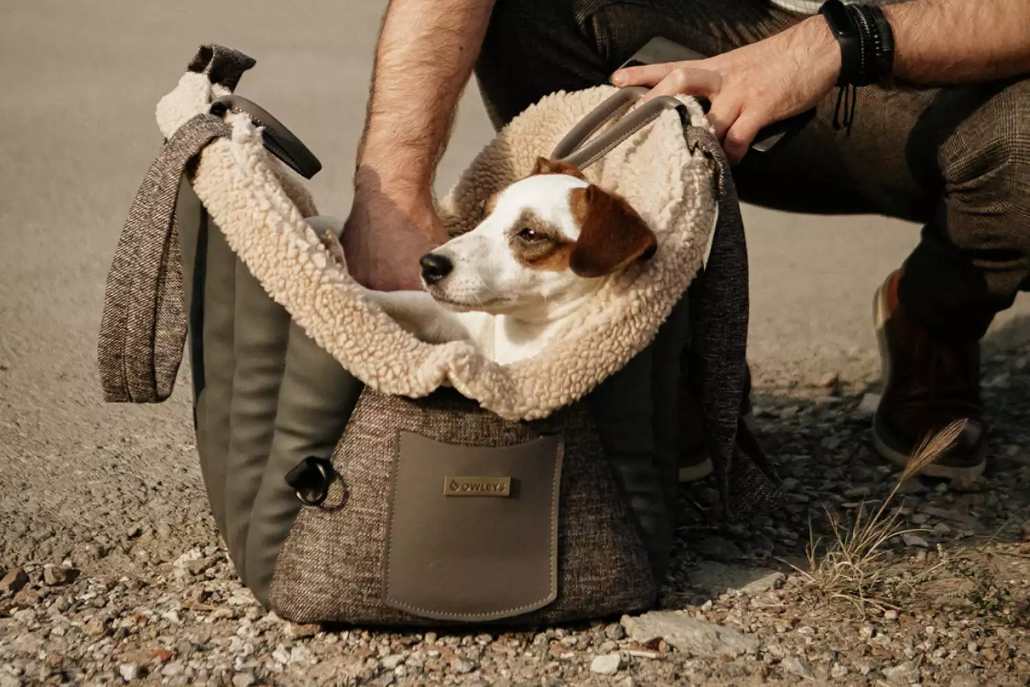 Toy Sheltie Dog Carrier Car Seat for Nissan Frontier