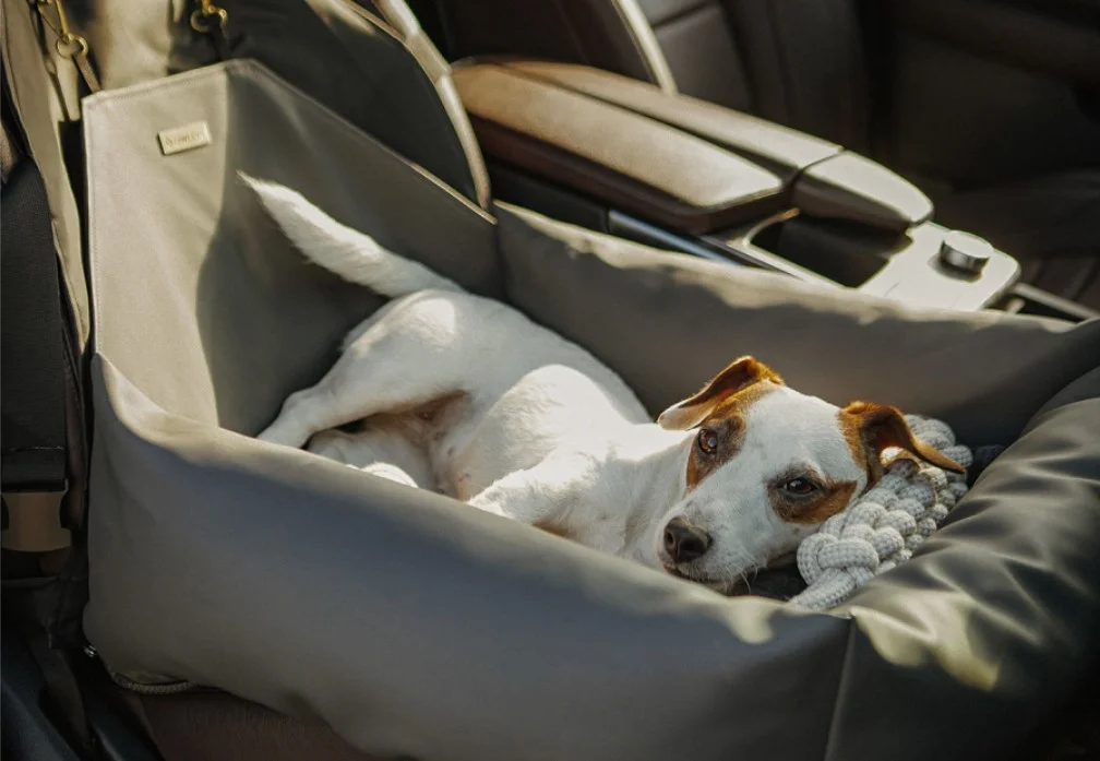 Ford F-Series Dog Car Seat for Shar-Pei