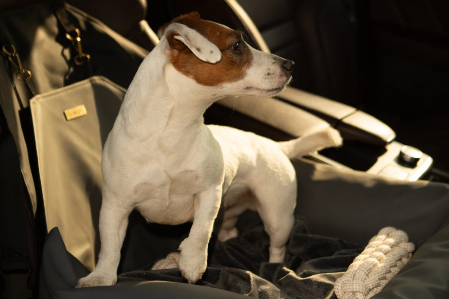 Tibetan Terriers Dog Car Seat for Kia Soul