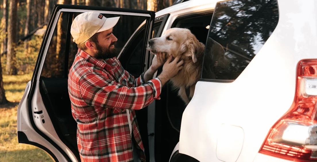 Ford Escape Dog Car Seat Belt for Alaskan Malamutes