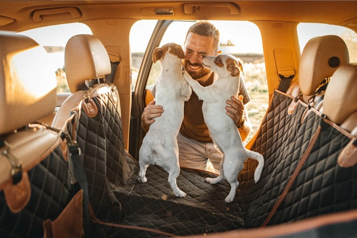 dog back seat cover for Chevrolet Equinox