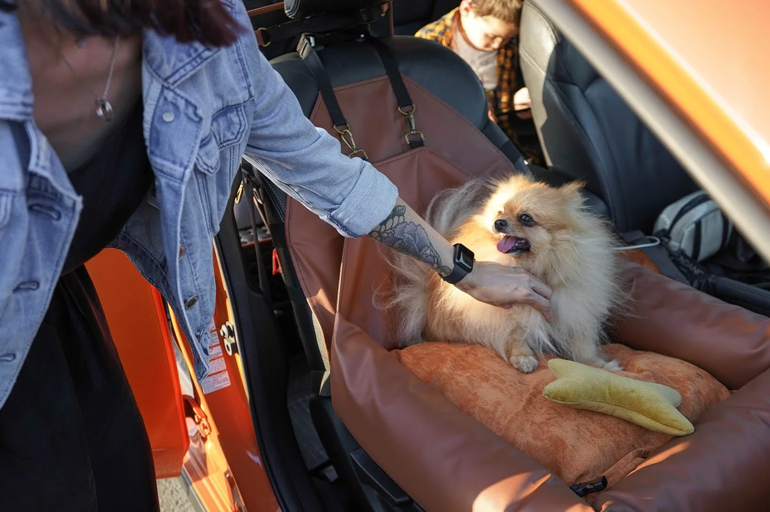 BMW X5 Dog Car Seat for Japanese Chin